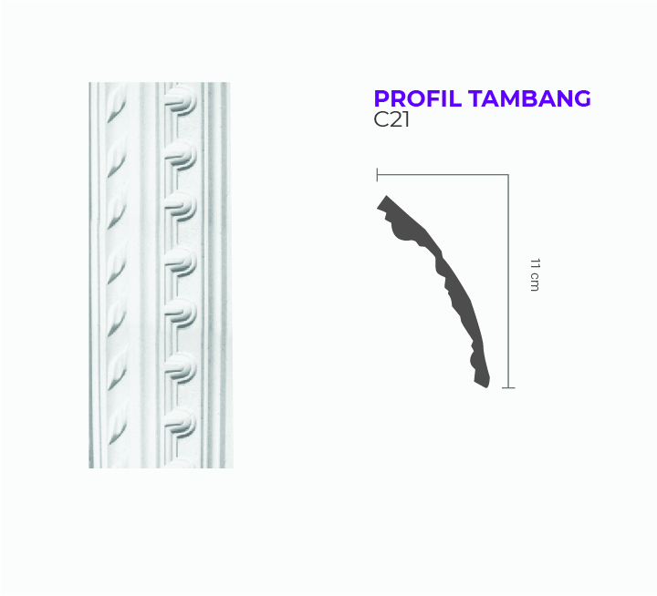 PROFIL TAMBANG C21